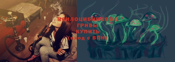 сатива Алексин