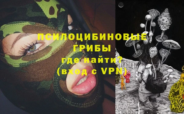 сатива Алексин